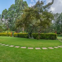 The Main Grounds