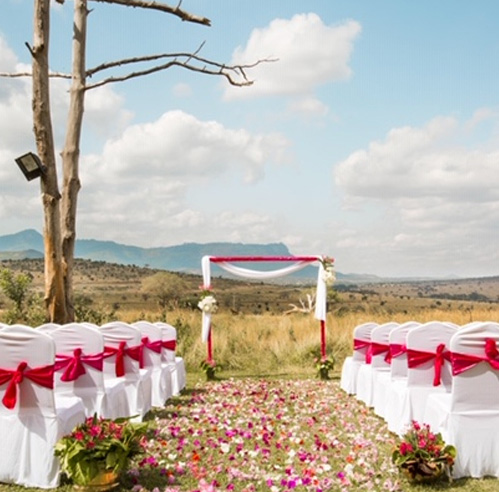 Wedding in the Wild