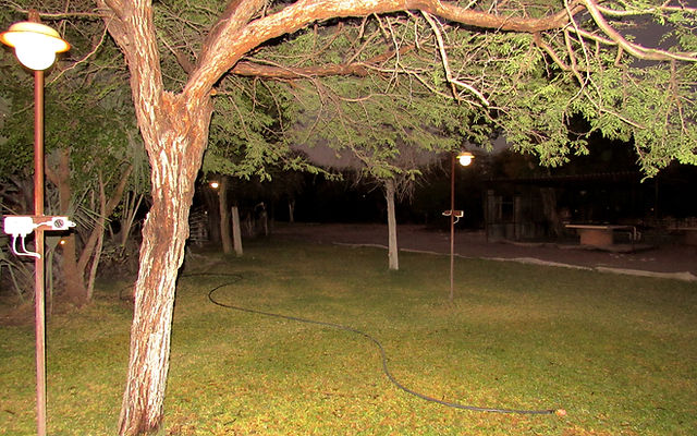 Roy's Rest Camp (Roy's Camp) 4