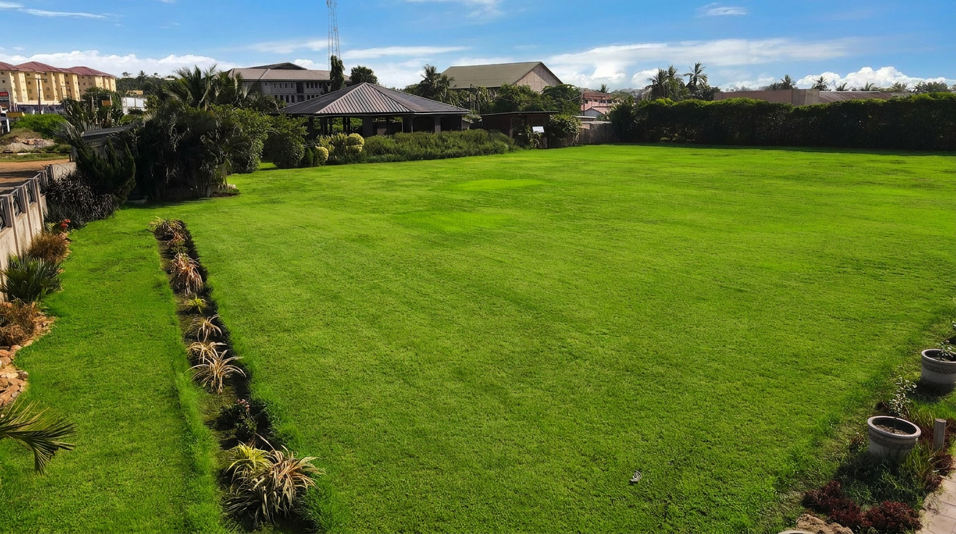 Main Lawn