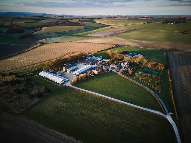 Hunmanby Grange