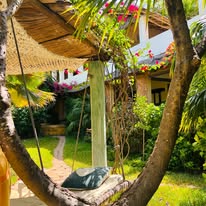 Banana House & Wellness Centre 3