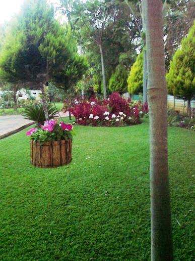 Sam's Garden 3