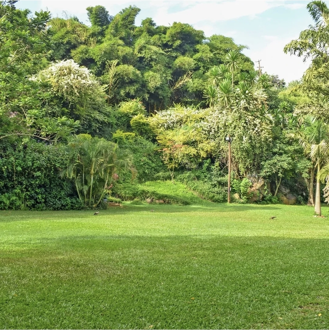 La Cascada Gardens & Hotel 5