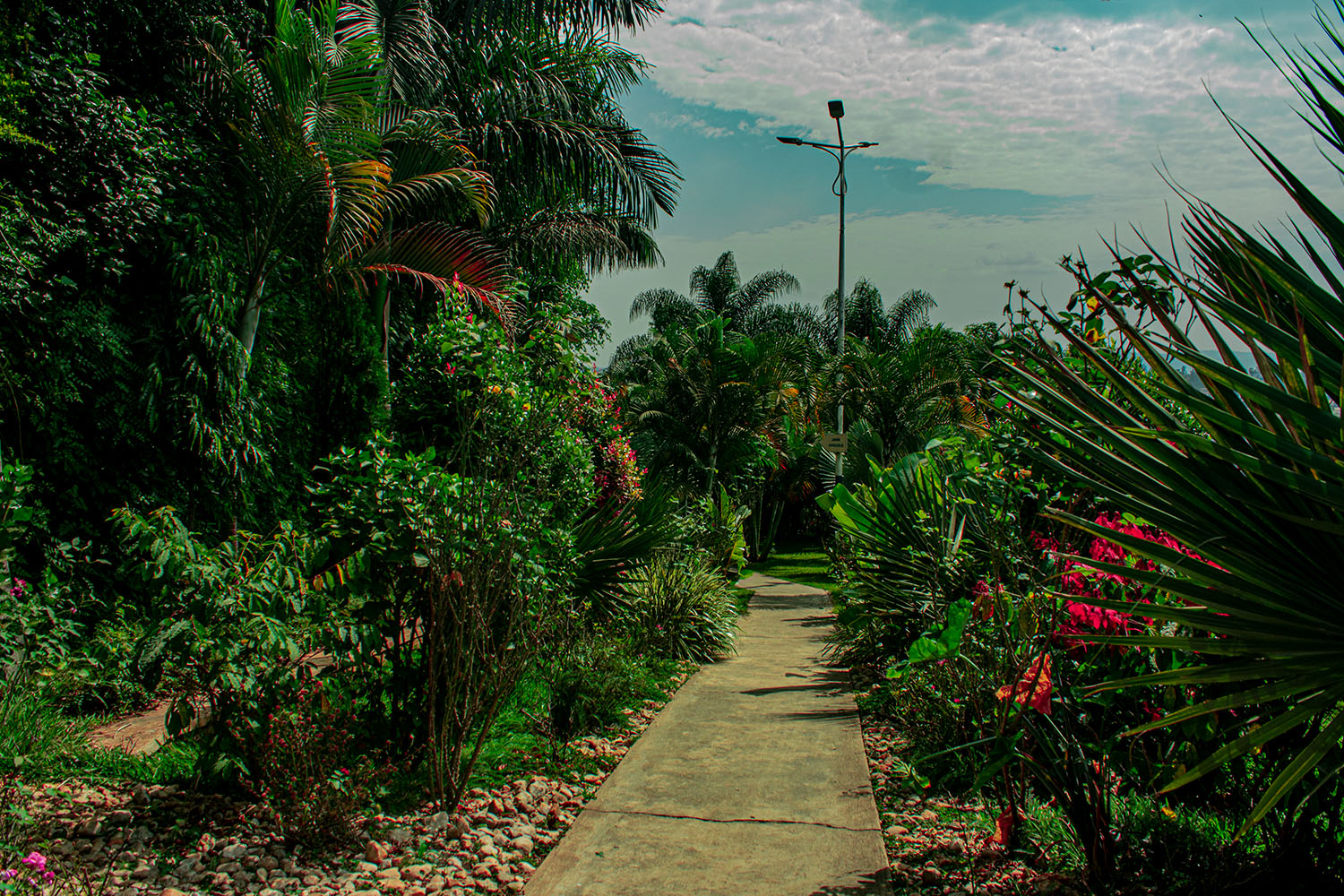 Wedding Garden 3