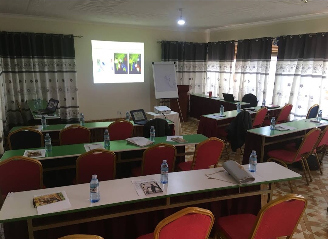Conference Hall