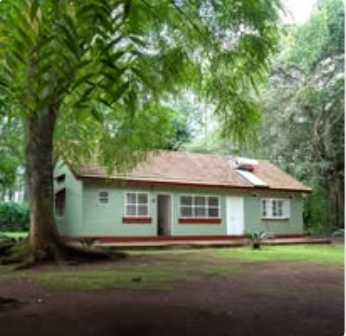 Tropical Gardens