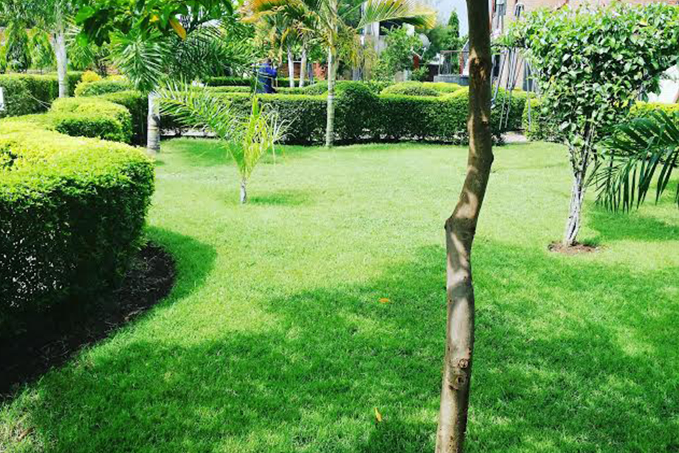 La Vista Garden Hotel 2