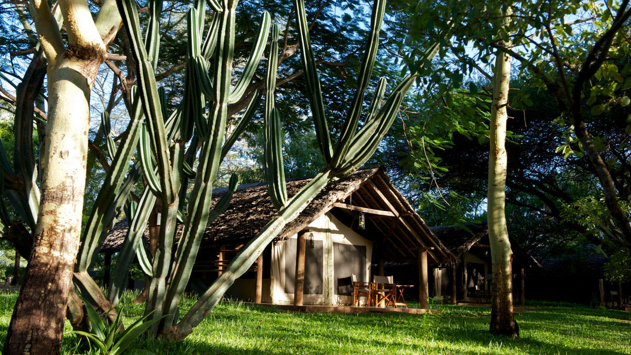 The Main Restaurant & Verandah