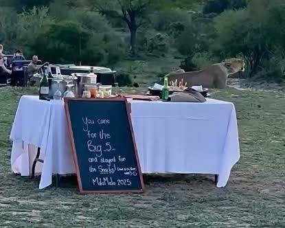 Outdoor Bush Event Area