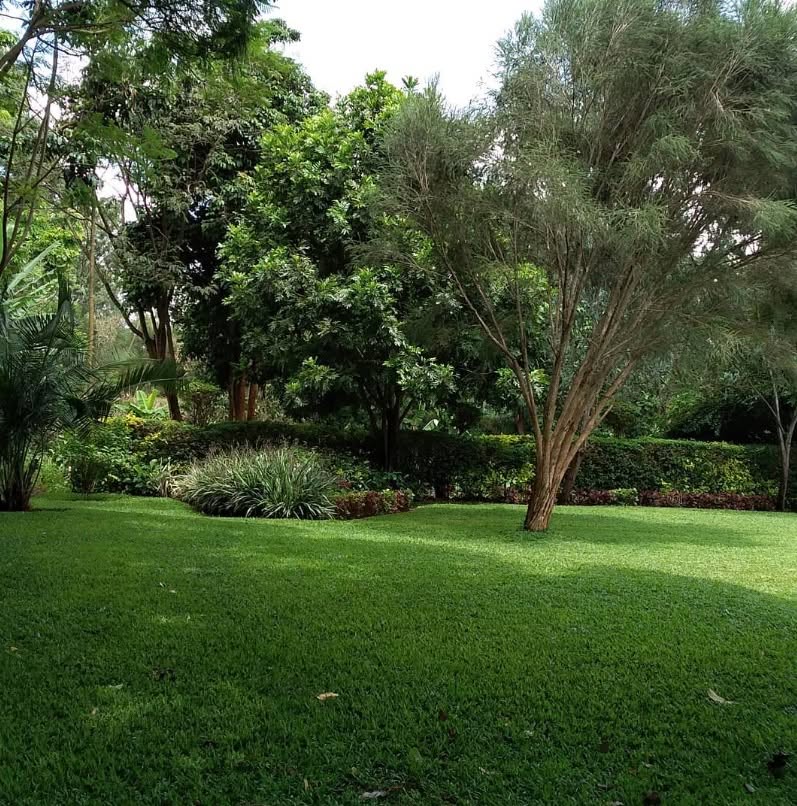 Lily of the Valley Gardens 4