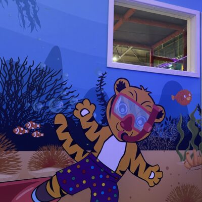 Tigers Indoor Play 5
