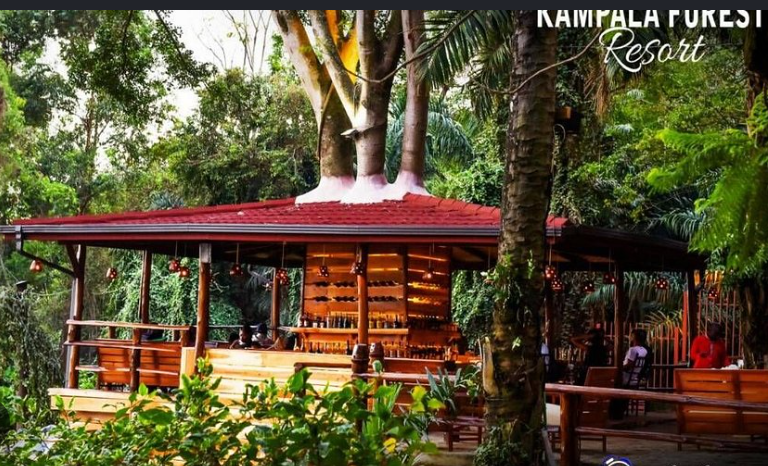 Kampala Forest Resort (KFR Lodge) 4