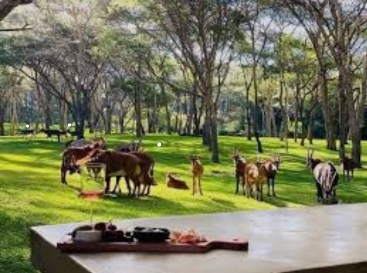Sakae Paradise Resort 3