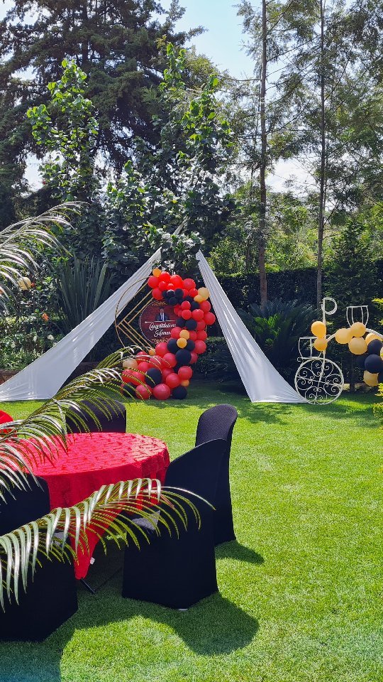 Sue Gardens 4