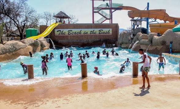 Lion Park Resort 3
