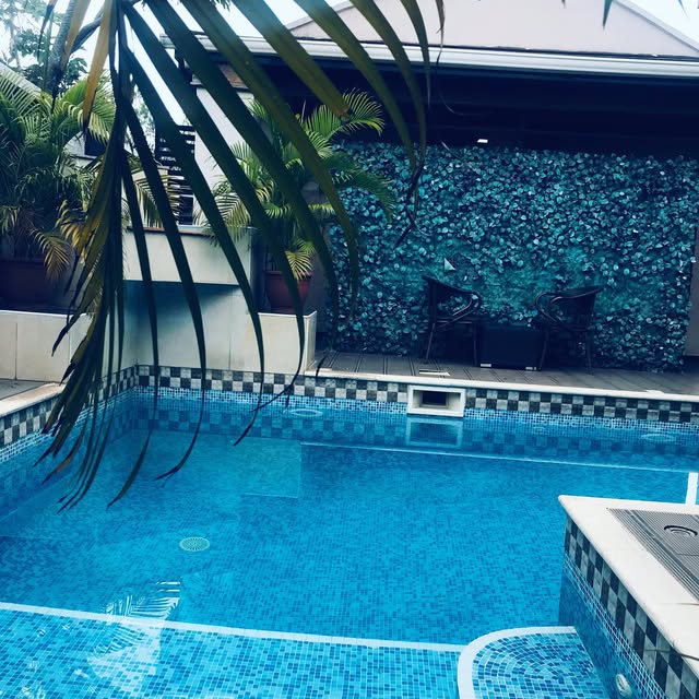 Swimming Pool & Wellness Area