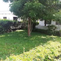 Lush Gardens
