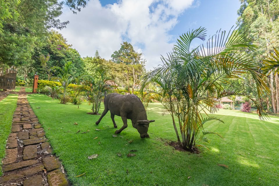 Koogi House Private Garden