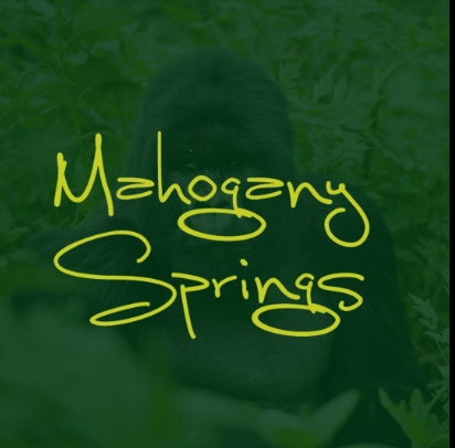 Mahogany Springs Lodge