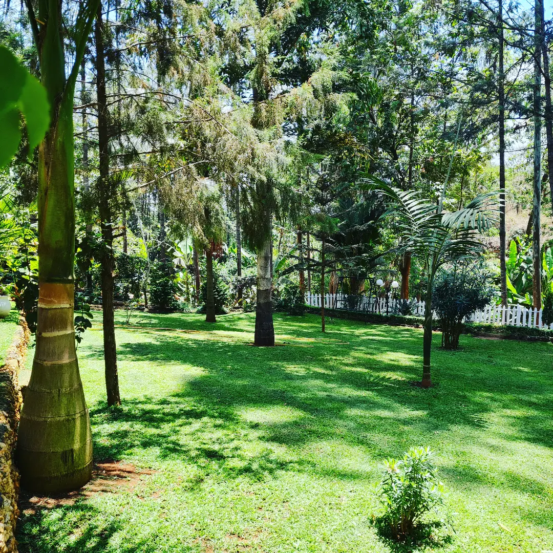 Sue Gardens 5