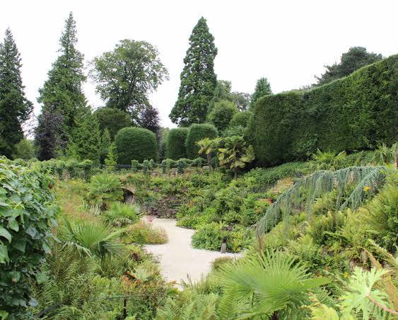 Fern Dell