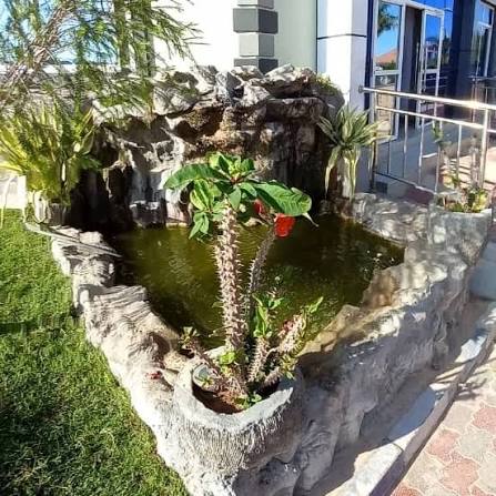 Taiwan Hotel Mwanza 4