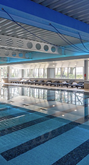 The Pool Area