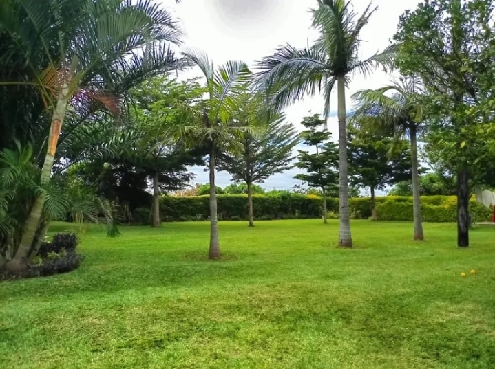 Markable faith Gardens