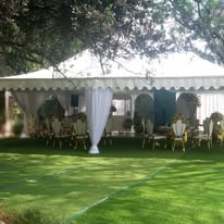 Manicured Lawns