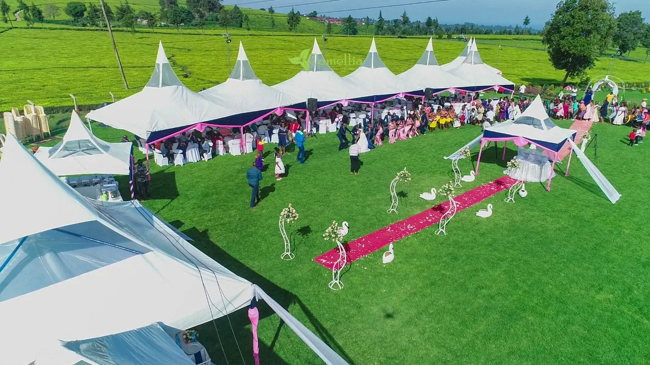 The Main Event Lawns