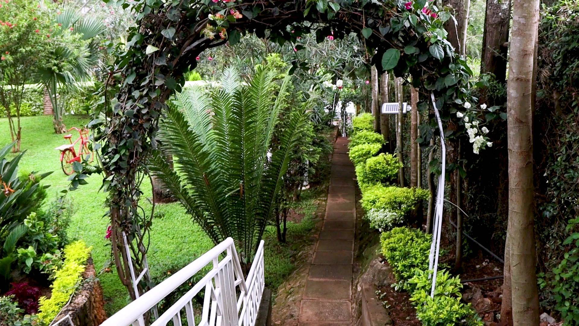 Sue Gardens