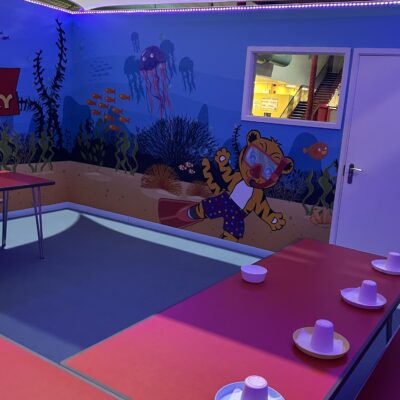 Tigers Indoor Play 2