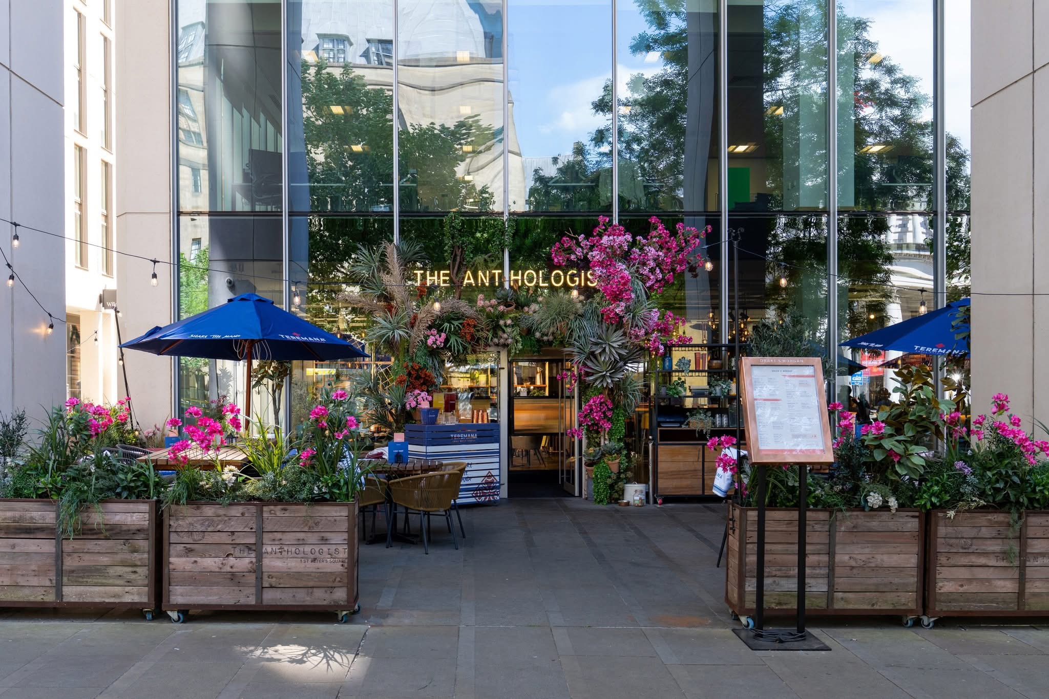 The Anthologist (St Peter's Square)