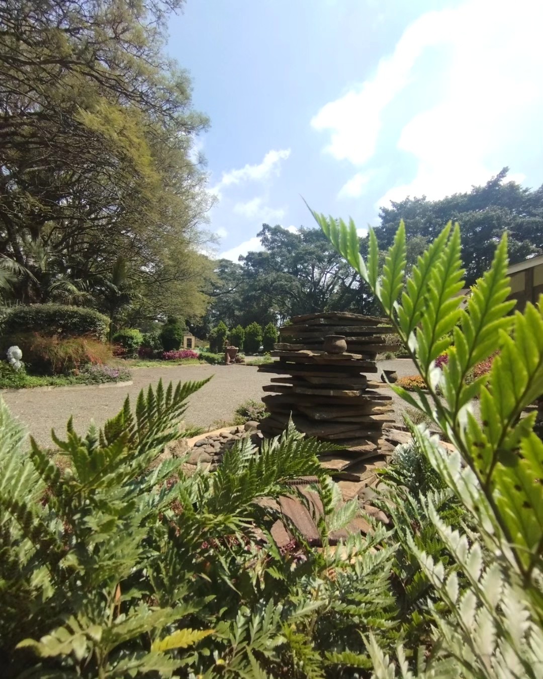 Dinham Resort Gardens 5