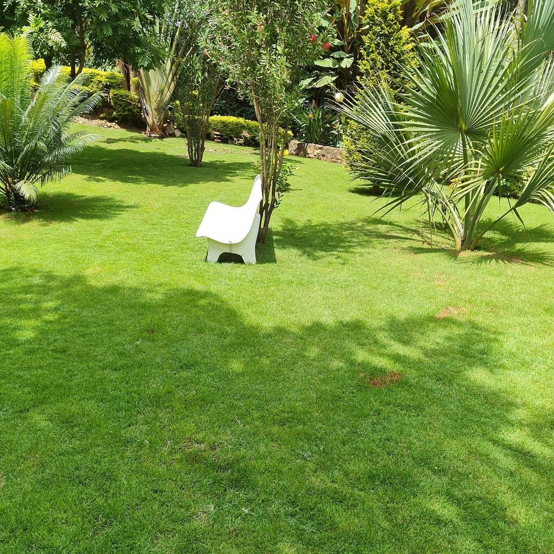 Sue Gardens 3