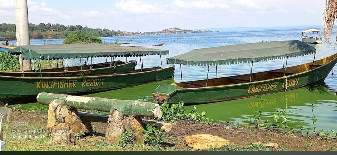 Kingfisher Safaris Resort 4