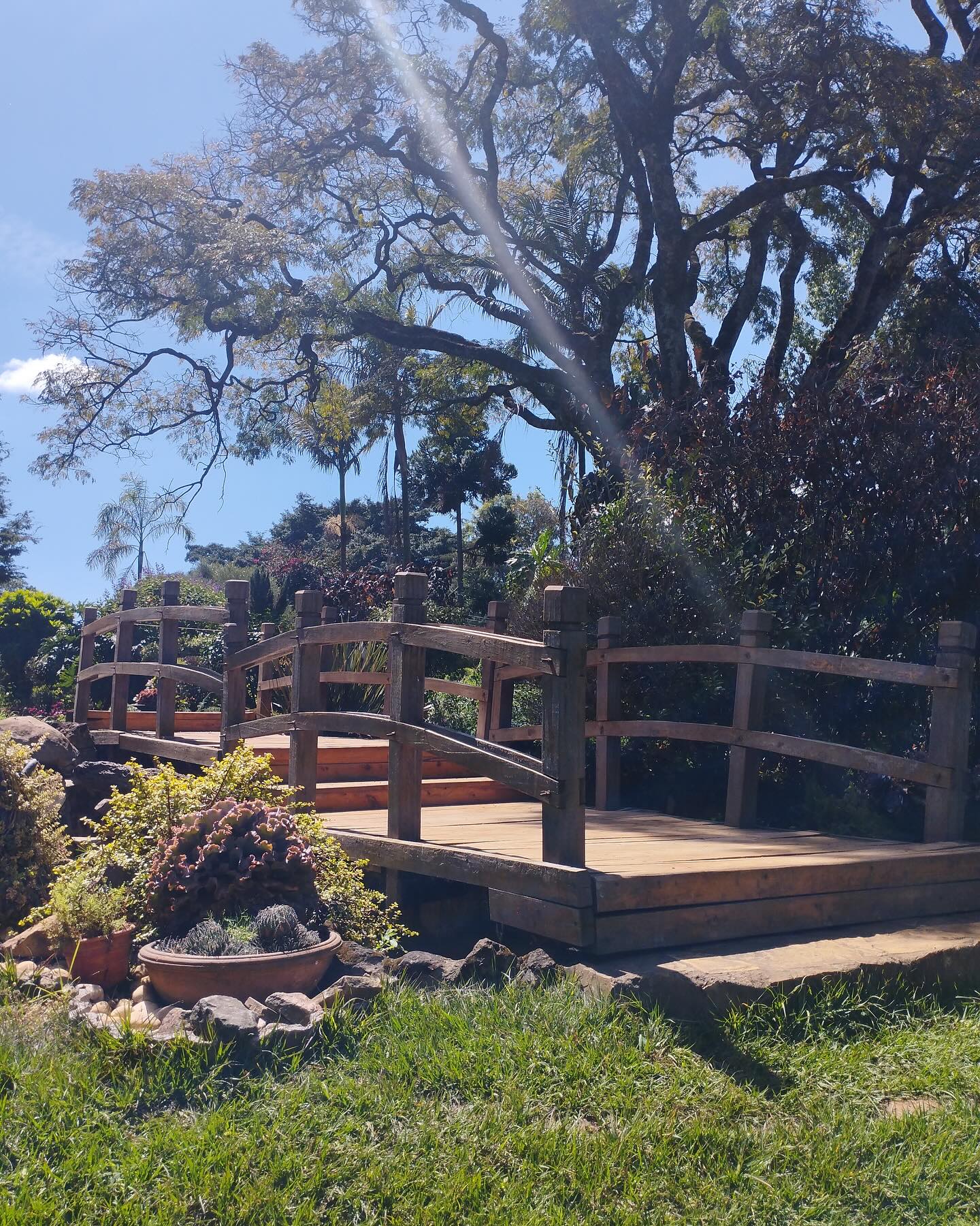 Dinham Resort Gardens 2