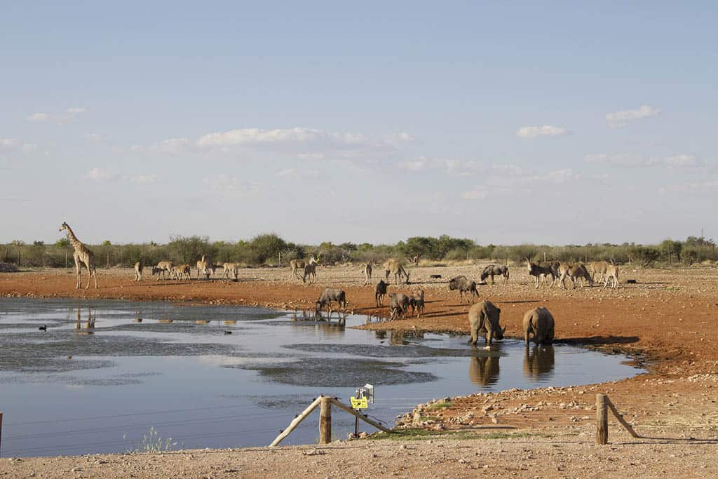 Lapa Lange Game Lodge 4