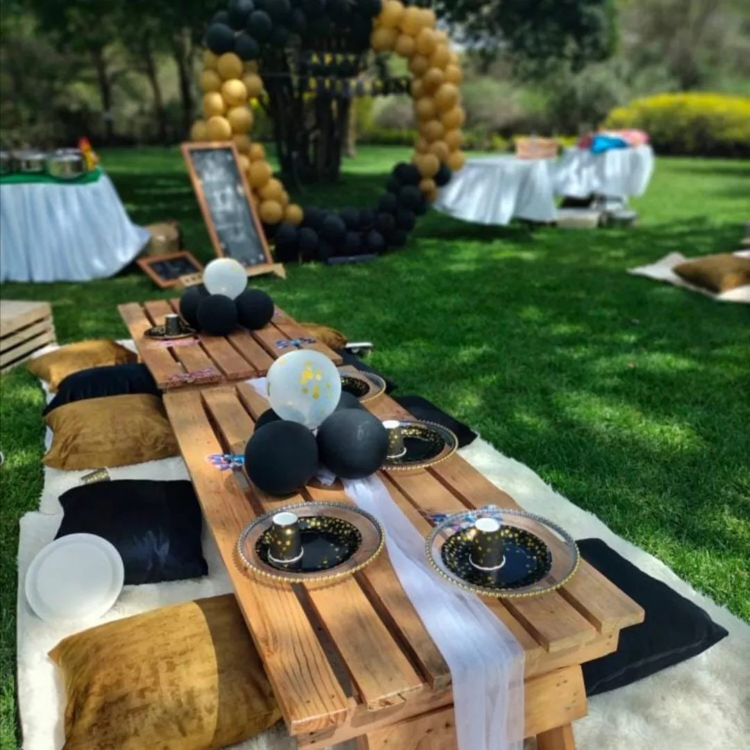 Picnic & Social Gathering Zones