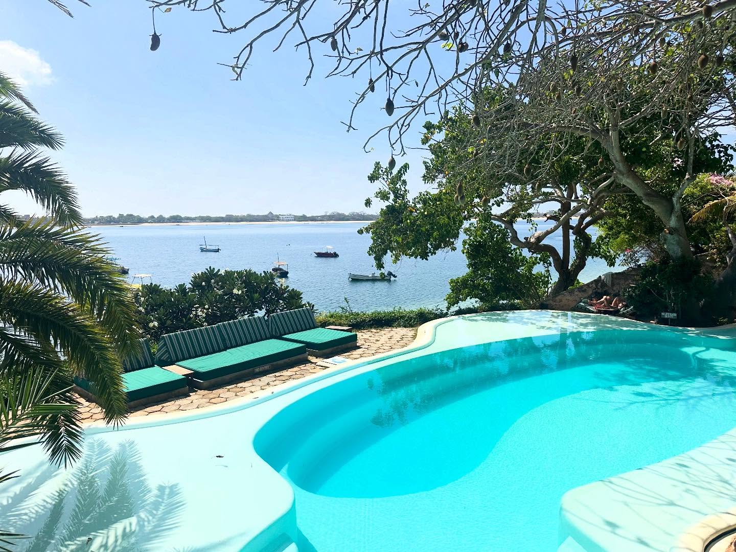 The Pool Area