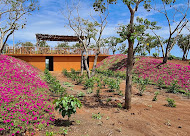 Fazenda Irmãos Chaves 3