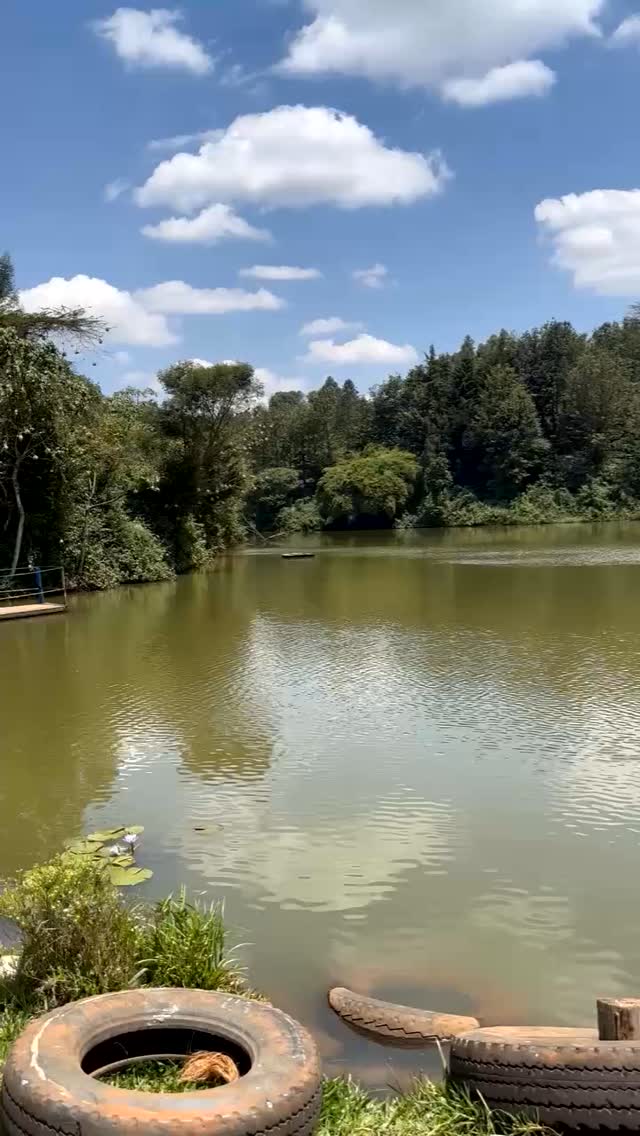 Bamboo Dam Resort 5