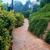 La Cascada Gardens & Hotel 3
