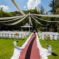 Francis Floral Gardens, Harare 5