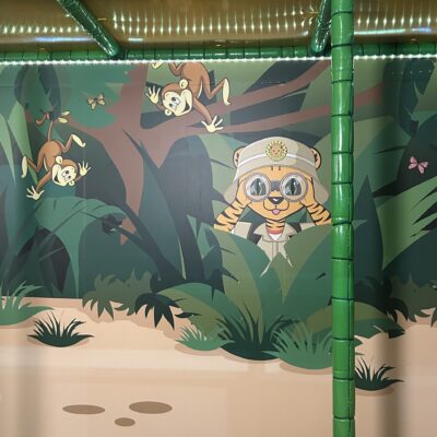 Tigers Indoor Play 4