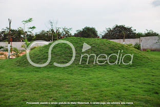 Resort Quinta das Palmeiras 4