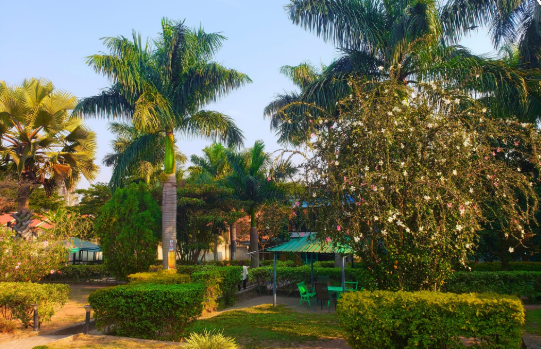 Blue Dove Hotel 4