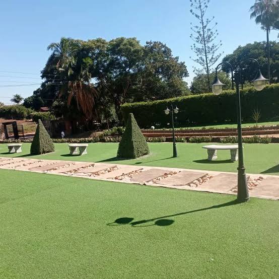 Harvey’s Garden 2