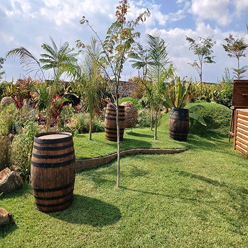 Open Lawn Event Park